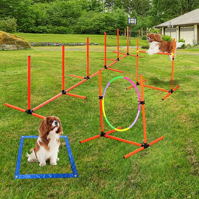 Dog Agility Course Backyard Set, 4 Sets Pet Agility Training Equipment - Image 7