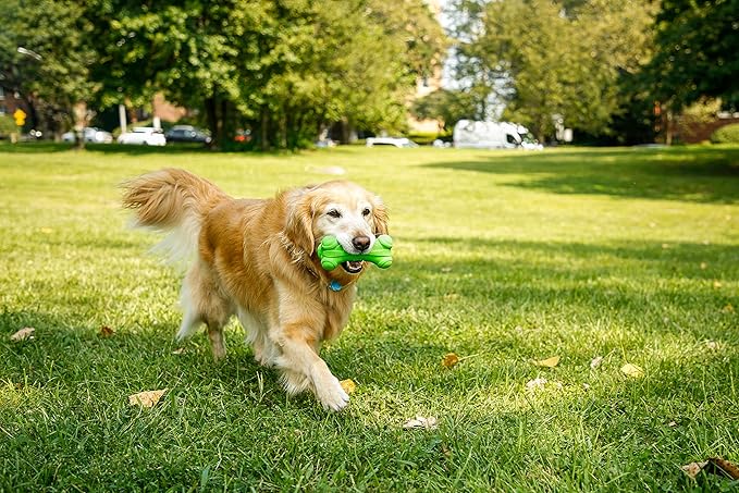Hartz DuraPlay Bacon Scented Dog Toys - Image 4