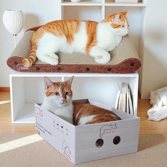 Cat Scratcher 24 Inch Cat Scratching Sofa Bed & 16" Lounge Box - Image 5