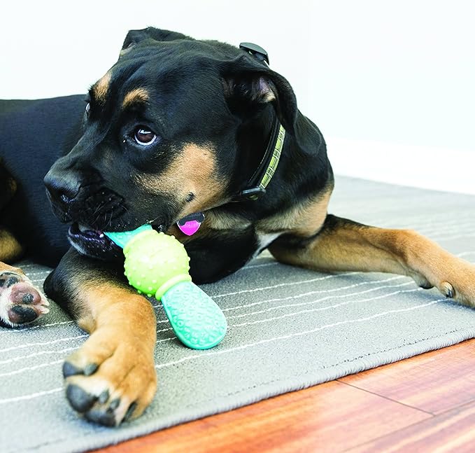 KONG CoreStrength Bow Tie Bone - Image 2