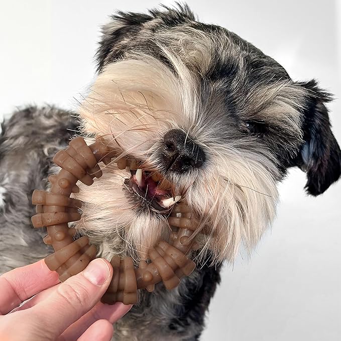Nylabone Strong Chew Textured Ring Dog Toy Made - Image 5