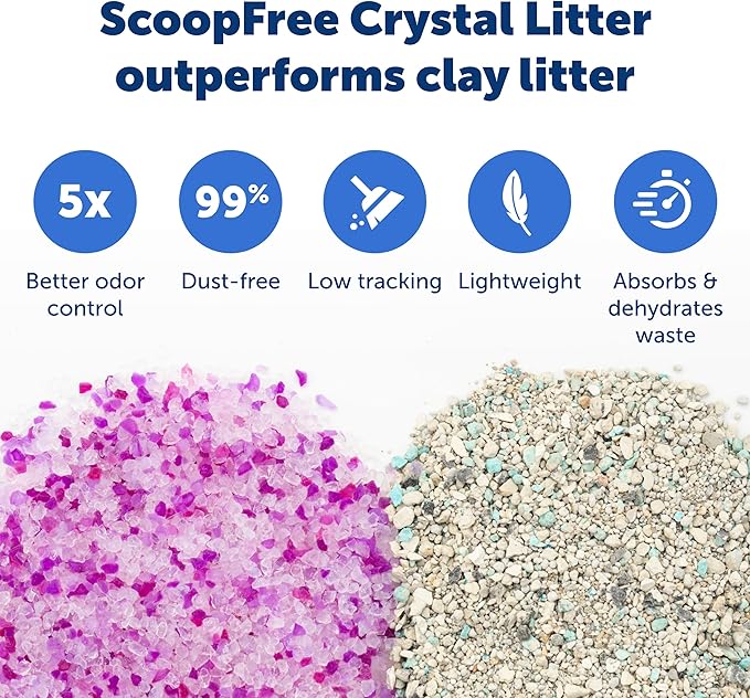 PetSafe ScoopFree Crystal Litter Tray Refills – Lavender Crystals - Image 4
