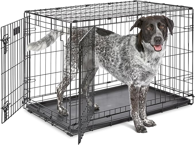 MidWest Homes for Pets 36-Inch iCrate for Medium-Large Breeds, 41-70 lbs by MidWestHomesForPets