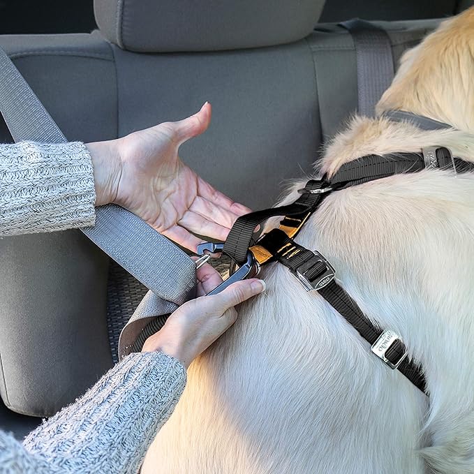 Kurgo Enhanced Strength Tru-Fit Dog Car Harness - Image 7