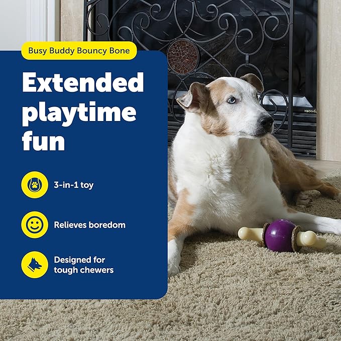 PetSafe Busy Buddy Bouncy Bone, Treat Holding Dog Toy - Image 2