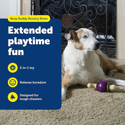 PetSafe Busy Buddy Bouncy Bone, Treat Holding Dog Toy - Image 2