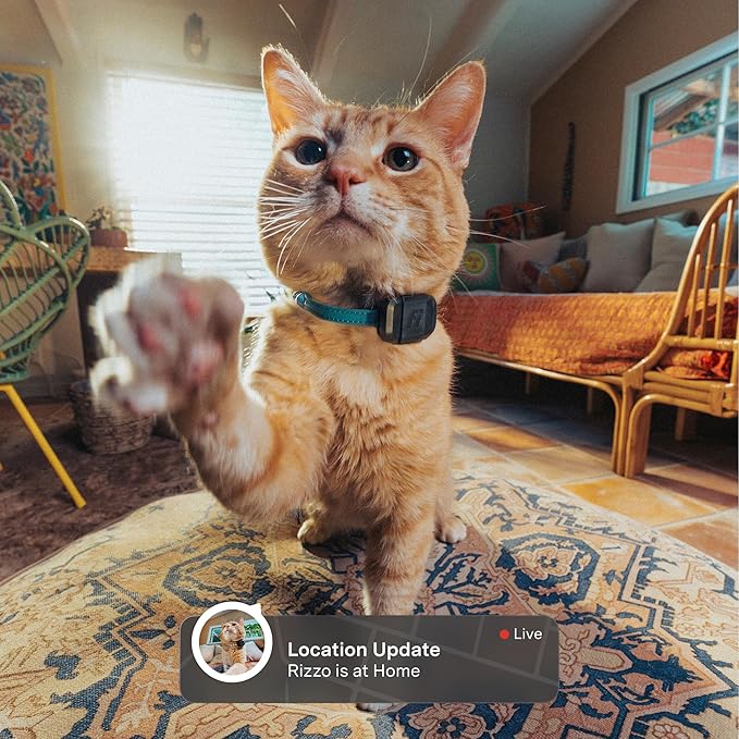 Fi Mini GPS Tracker for Cats — Lightweight Collar Attachment, Virtual Fences - Image 2