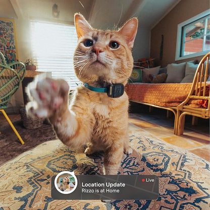 Fi Mini GPS Tracker for Cats — Lightweight Collar Attachment, Virtual Fences - Image 2