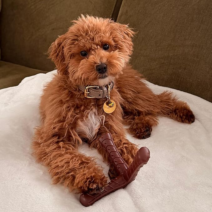 SPOT Bam-Bones Plus Tripod, Bamboo Fiber & Nylon Dog Chew, Durable - Image 13