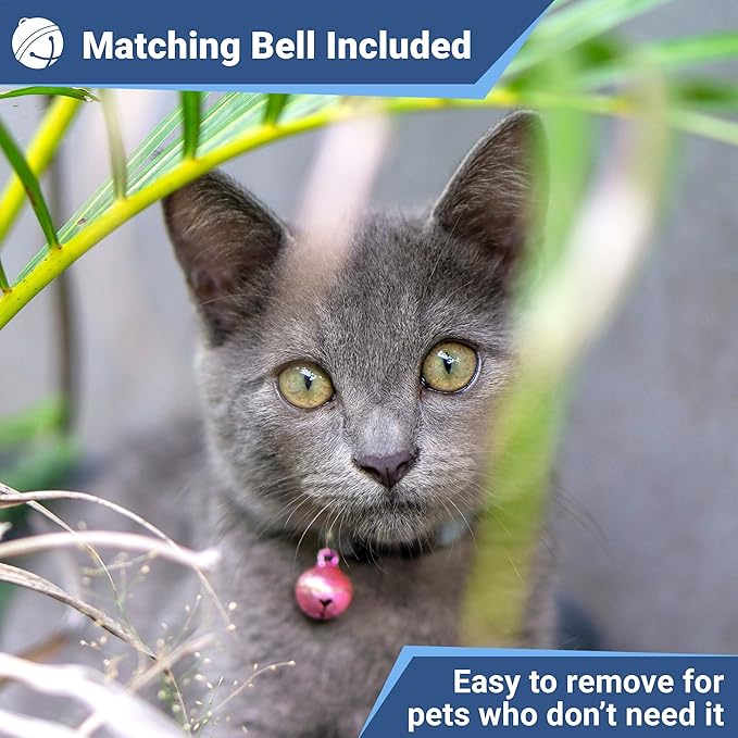 GoTags Personalized Reflective Cat Collars - Image 5