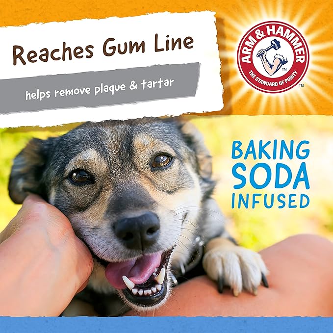 Arm & Hammer Nubbies TriBone Dog Dental Chew Toy Peanut Butter Flavor Moderate - Image 6