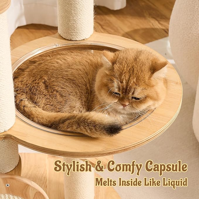 Modern Solid Wood Cat Tree for Indoor Cats Up to 15lbs, Large Cat Bed, Capsule - Image 6