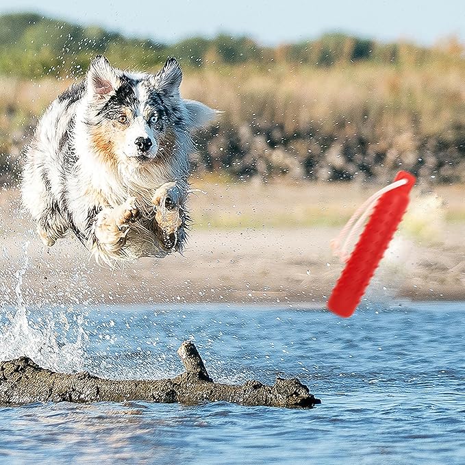 Dog Float Toy - Interactive Training Bumper & Fetching Retrieving Dog Water - Image 6