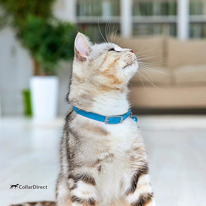 CollarDirect Leather Cat Collar - Image 7