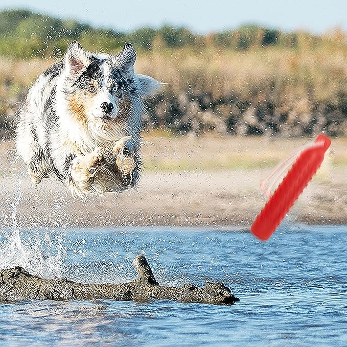 Dog Float Toy - Interactive Training Bumper & Fetching Retrieving Dog Water - Image 7
