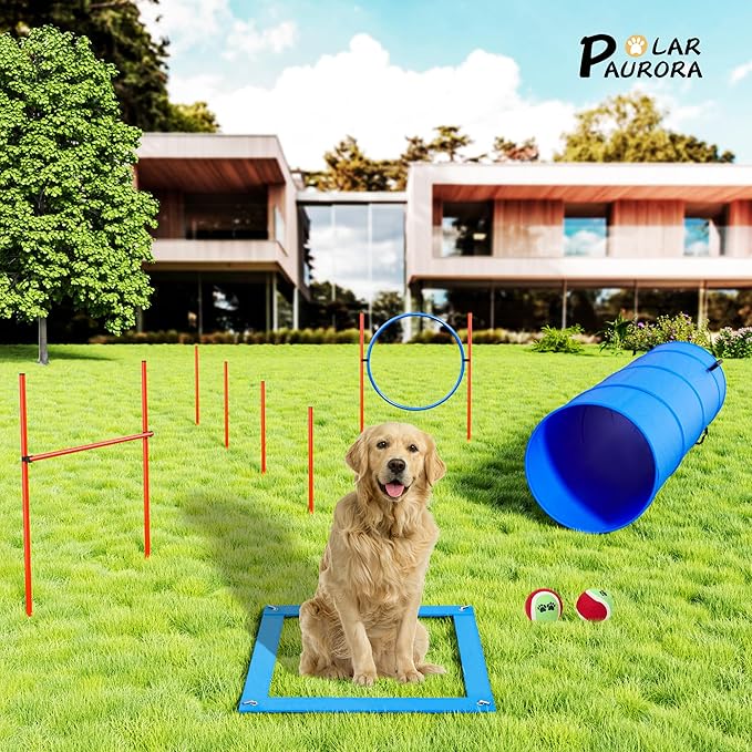 Polar Aurora Dog Agility Equipment, Dog Obstacle Courses Backyard - Image 3