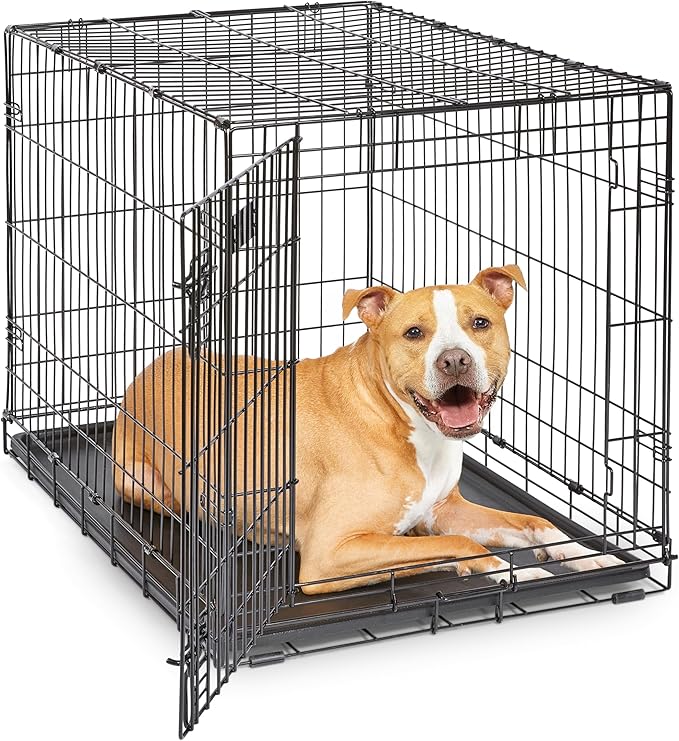 MidWest Homes for Pets 36-Inch iCrate for Medium-Large Breeds, 41-70 lbs by MidWestHomesForPets