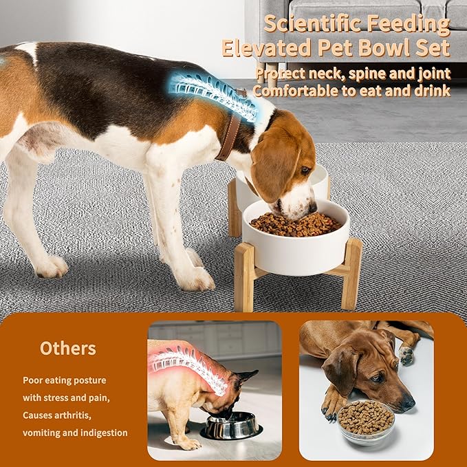Elevated Ceramic Dog Bowl Set - Image 4