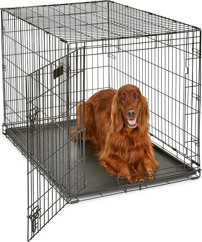 MidWest Homes for Pets 42-Inch iCrate for Large Breeds, 71-90 lbs, Single Door by MidWestHomesForPets