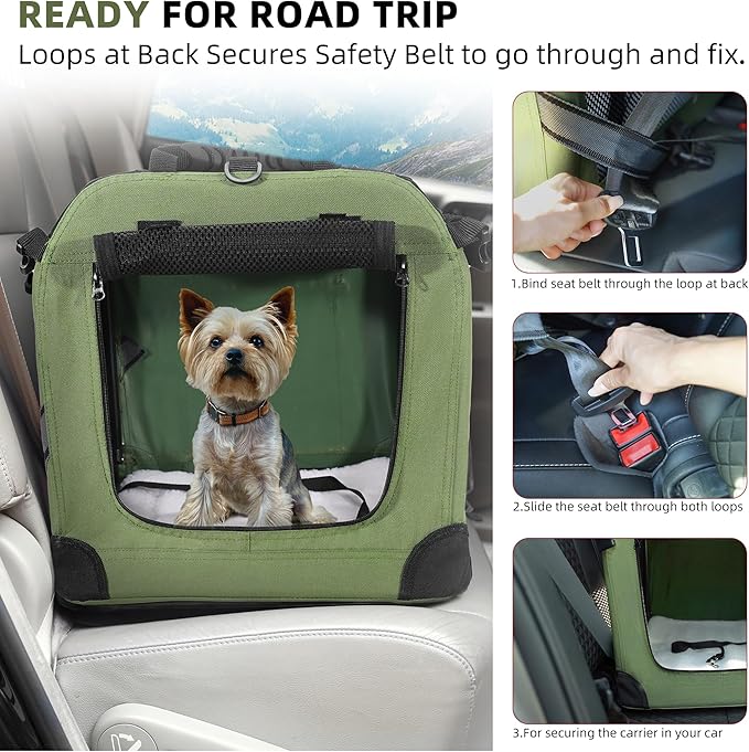Petprsco Large Cat Carrier for 2 Cats Small Medium Dogs, Soft Pet Carrier - Image 3