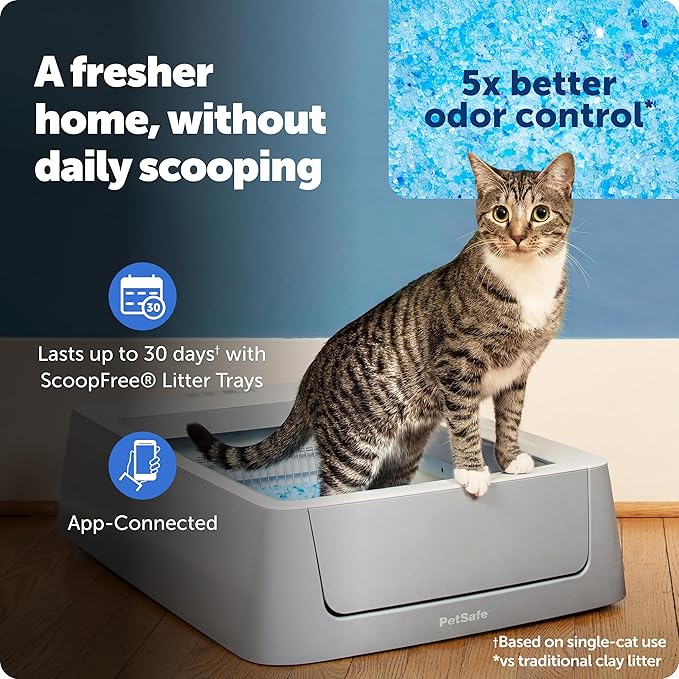 PetSafe ScoopFree Complete Smart Self-Cleaning Cat Litter Box - Image 2