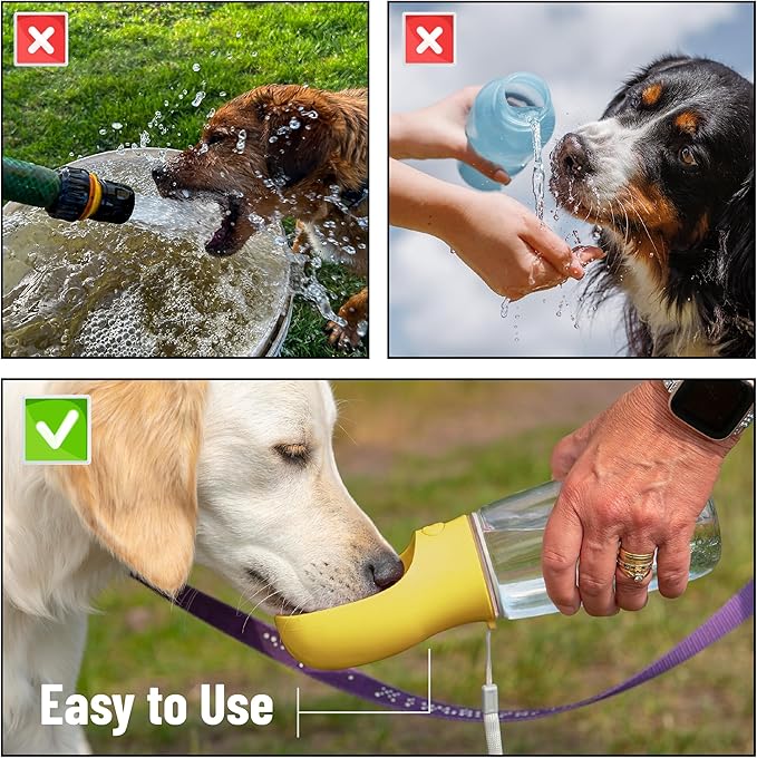 Mr. Pen- Portable Dog Water Bottle, 19 oz, Leak Proof Puppy Water Dispenser - Image 7