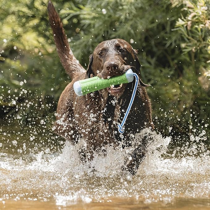 Chuckit! Amphibious Bumper Floating Fetch Dog Toy - Image 5