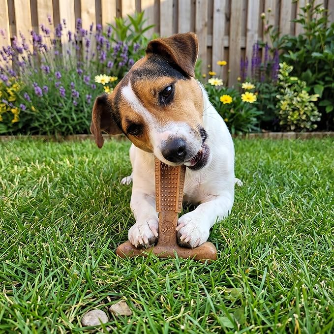 SPOT Bam-Bones Plus T Bone – Bamboo Fiber & Nylon Dog Chew Toy - Image 8