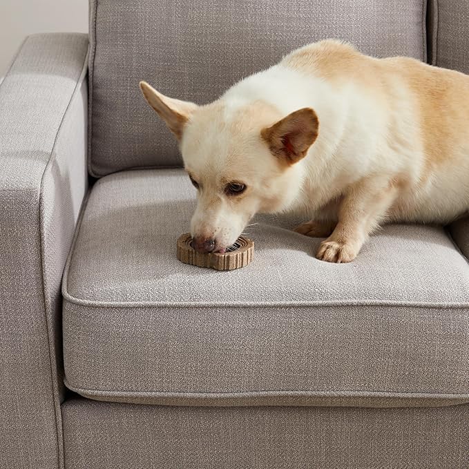 Petstages Dogwood Ring Dog Chew Toy - Image 9