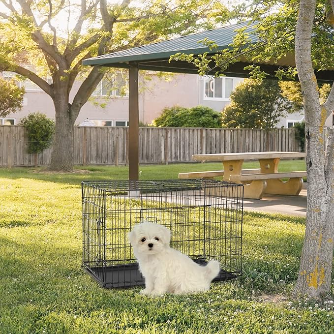 FDW 24-Inch Dog Crate for Small Dogs, Double Door Folding Metal Wire Pet Kennel - Image 2