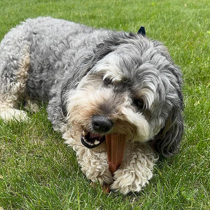 SPOT Bam-Bones Plus T Bone – Bamboo Fiber & Nylon Dog Chew Toy - Image 19