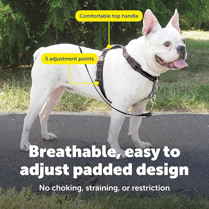 PetSafe 3 in 1 No-Pull Dog Harness - Image 4