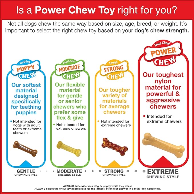 Nylabone Cheese Bone Power Chew Toy - Image 14