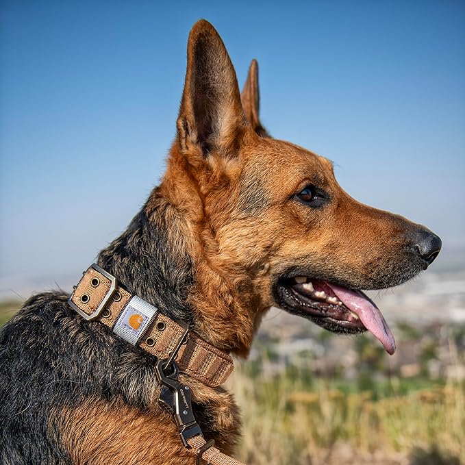 Carhartt Pet Fully Adjustable Wide Webbing Collar - Image 6