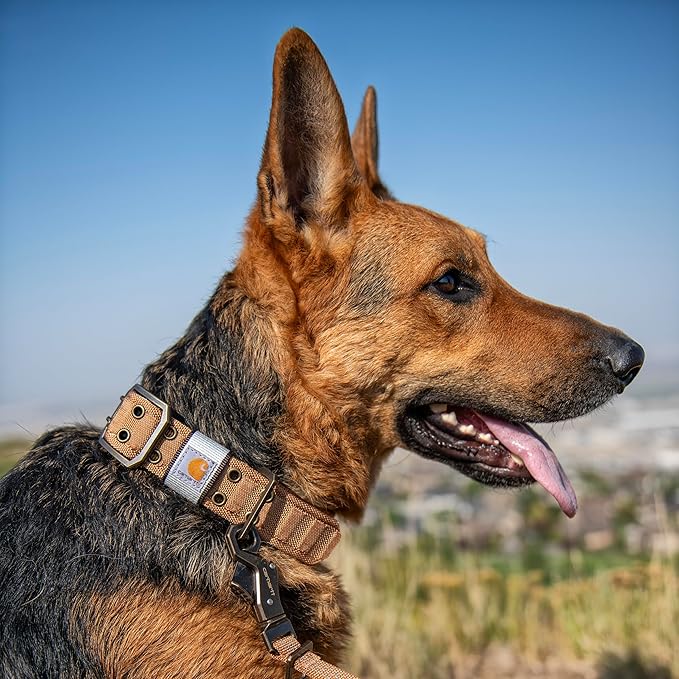 Carhartt Pet Fully Adjustable Wide Webbing Collar - Image 6