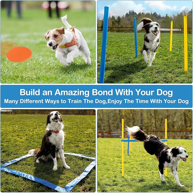 Dog Agility Course Backyard Set - Image 4