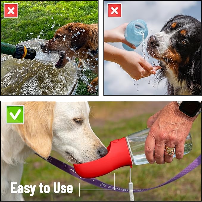 Mr. Pen- Portable Dog Water Bottle, 19 oz, Leak Proof Puppy Water Dispenser - Image 7