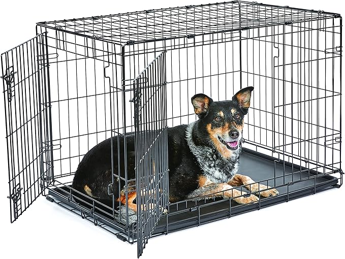 Midwest Homes for Pets 36-Inch New World Crate for Medium-Large Breeds by NewWorldPetProducts