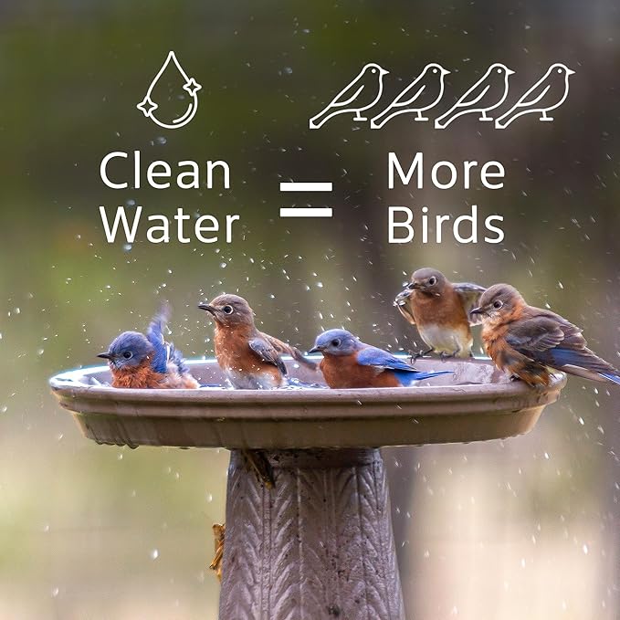 Microbe-Lift Bird Bath Clear Two-in-One Water Cleaner – 4 Oz – Safe - Image 3