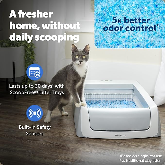 PetSafe ScoopFree Self-Cleaning Cat Litterbox - Image 2
