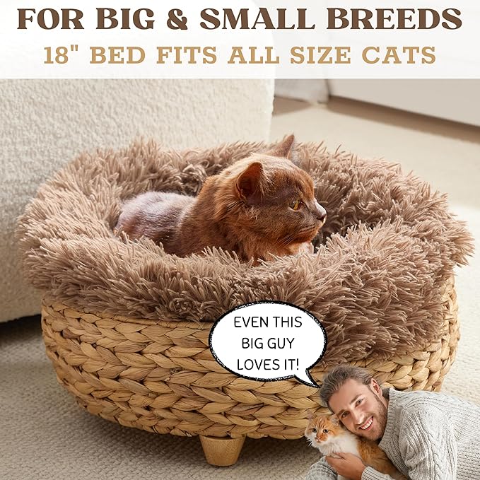 Cat Luxury Cat Bed for Indoor Cats, Plush Furniture for Comfort and Relaxation - Image 5