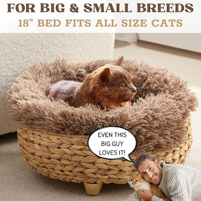 Cat Luxury Cat Bed for Indoor Cats, Plush Furniture for Comfort and Relaxation - Image 5