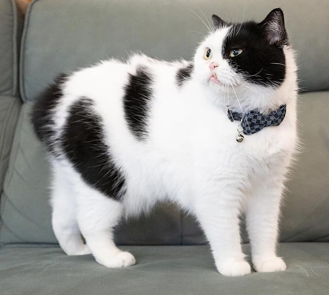 Cat Collar Breakaway Bowtie Safety - Image 5