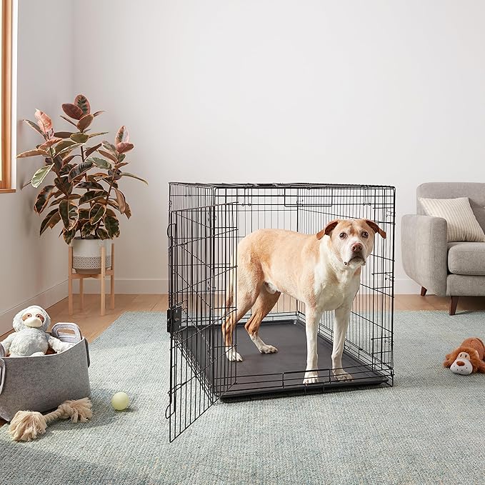 Amazon Basics Portable, Foldable Metal Wire Dog Crate - Image 6