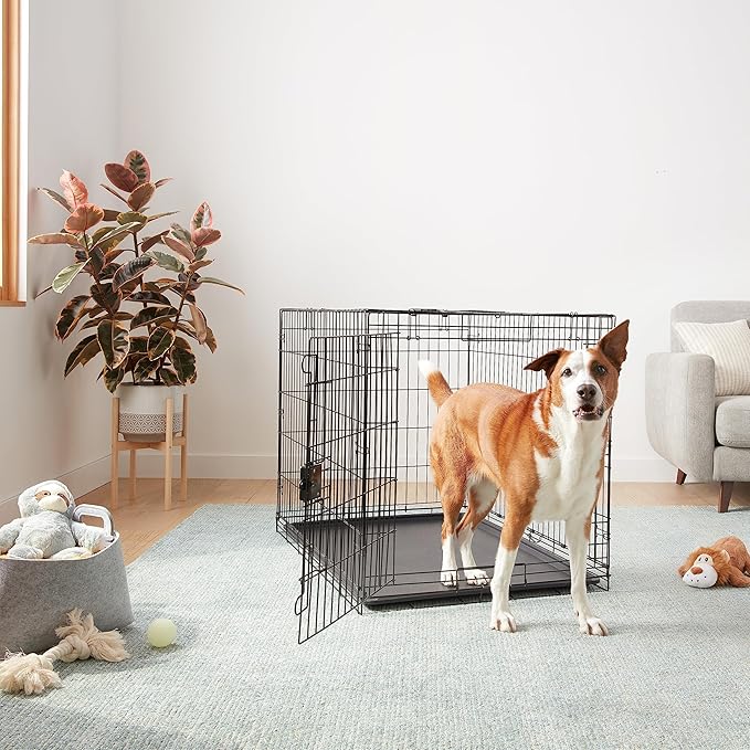 Amazon Basics Durable, Foldable Metal Wire Dog Crate - Image 5