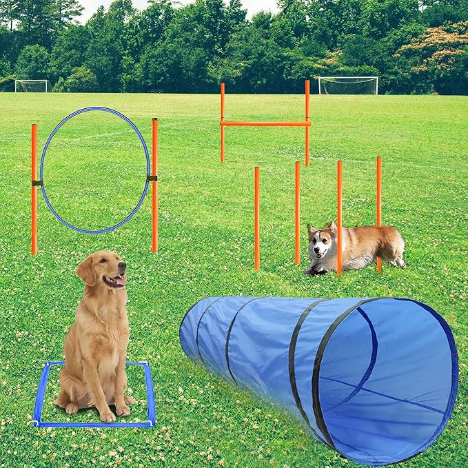 Dog Agility Training Equipment, Obstacle Agility Training Starter Kit by GeerDuo