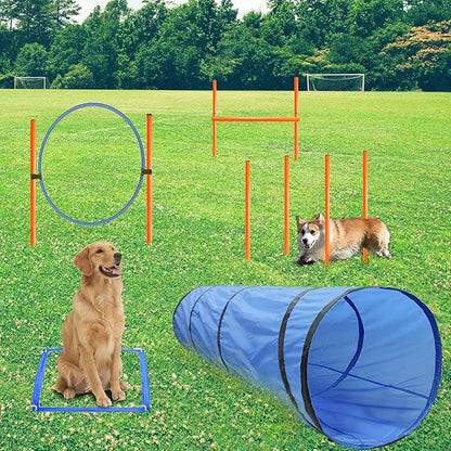 Dog Agility Training Equipment, Obstacle Agility Training Starter Kit by GeerDuo