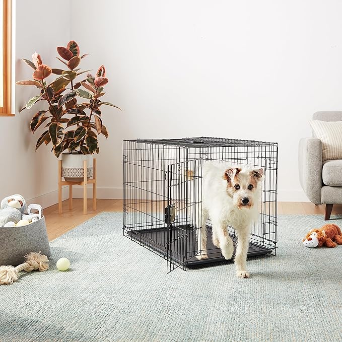Amazon Basics Portable Metal Wire Dog Crate - Image 6