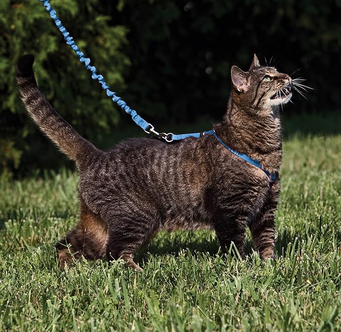 PetSafe Come with Me Kitty Harness and Bungee Leash - Image 2