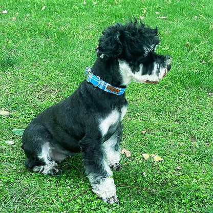 Unique style paws Dog Collar Metal Buckle Blue Plaid Collar Gift Durable Cute - Image 4